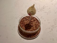 -王府半岛酒店·Jing餐厅