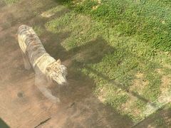 -无锡动物园·太湖欢乐园