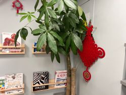 -摩睫+皮肤管理·科学美容中心