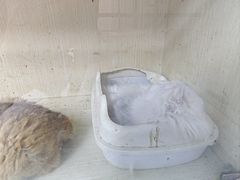 -上海大自然野生昆虫馆(东方明珠·爬宠昆虫探索中心)