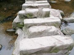-重庆彩云湖湿地公园