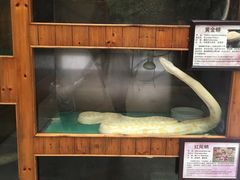 -上海大自然野生昆虫馆(东方明珠·爬宠昆虫探索中心)