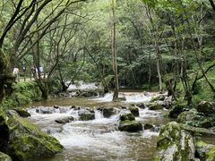 -牛背梁国家森林公园