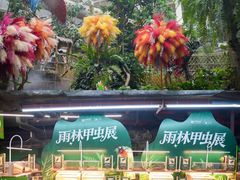 -正佳雨林生态植物园