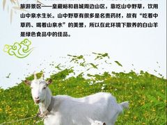 -古萧汪家羊肉馆(龙山路总店)