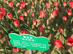 -江南大学(蠡湖校区)