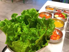 -山野的朋友露营炭火烤肉