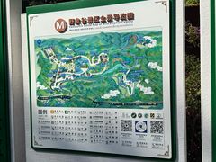 -野象谷景区