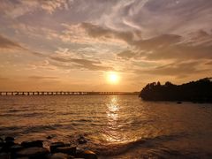 -宝安西湾红树林湿地公园