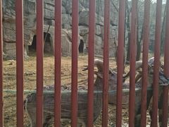 -沈阳森林动物园