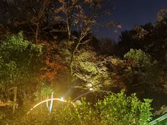 -宋宴(虎跑店)