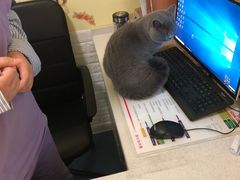 -瑞鹏宠物医院·爱宠堂(环西分院)