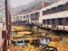 -Local泰莲庭(虹鳟鱼店)