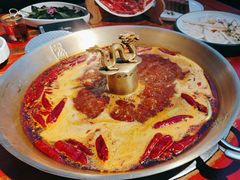 -小龙翻大江文化火锅(宽窄店)