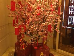 -上海小南国(国会店)