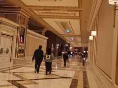 -澳门威尼斯人综合度假区