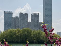 -天鹅湖体育公园