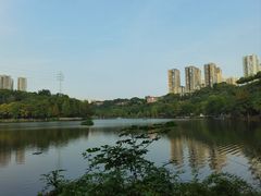 -重庆彩云湖湿地公园