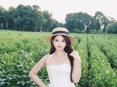 -帐篷客·溪龙茶谷度假酒店