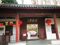 -汇龙潭