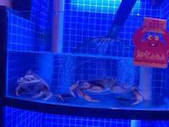-七欣天香辣蟹火锅(闵行浦江欢乐颂店)