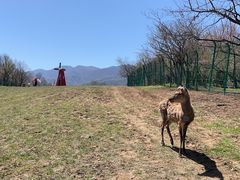 -大九湖