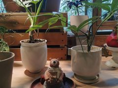 -自由生长植物工作室(深港花卉中心店)