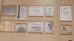 -思妍丽