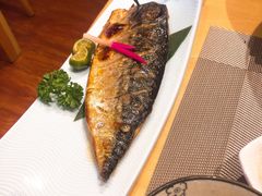 烤青花鱼-游You House(西单老佛爷店)