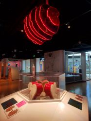 -北京科学中心儿童乐园