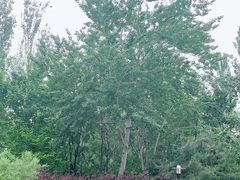 -北极寺公园