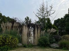 -白鹭湾湿地公园