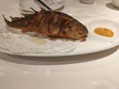 蒜香大黄花-金春禧(万象天成店)