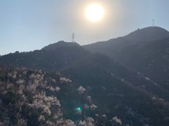 -北京鹫峰国家森林公园