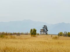 -野鸭湖国家湿地公园