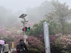 -广州市石门国家森林公园