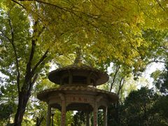 -玲珑塔公园