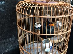 -到家尝北京菜(西坝河店)