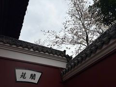 -长春观