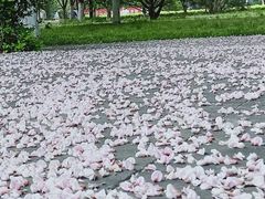 -丰台花园
