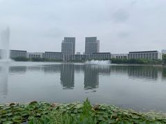 -尚贤河湿地