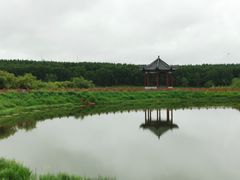 -塞罕坝国家级自然保护区