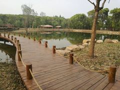-同里国家湿地公园