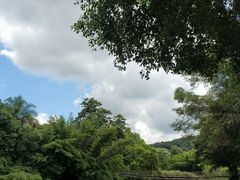 -南宁良凤江国家森林公园