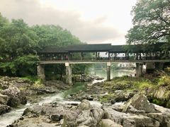 -鹿亭中村