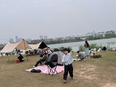 -洋湖国家湿地公园
