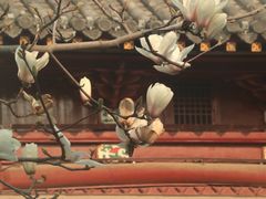 -长春观