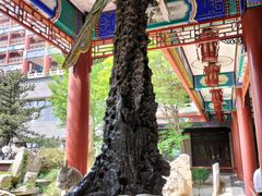 -大明幻境第一城