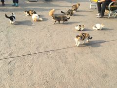 -北京欢乐谷