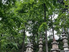 -黔灵山公园